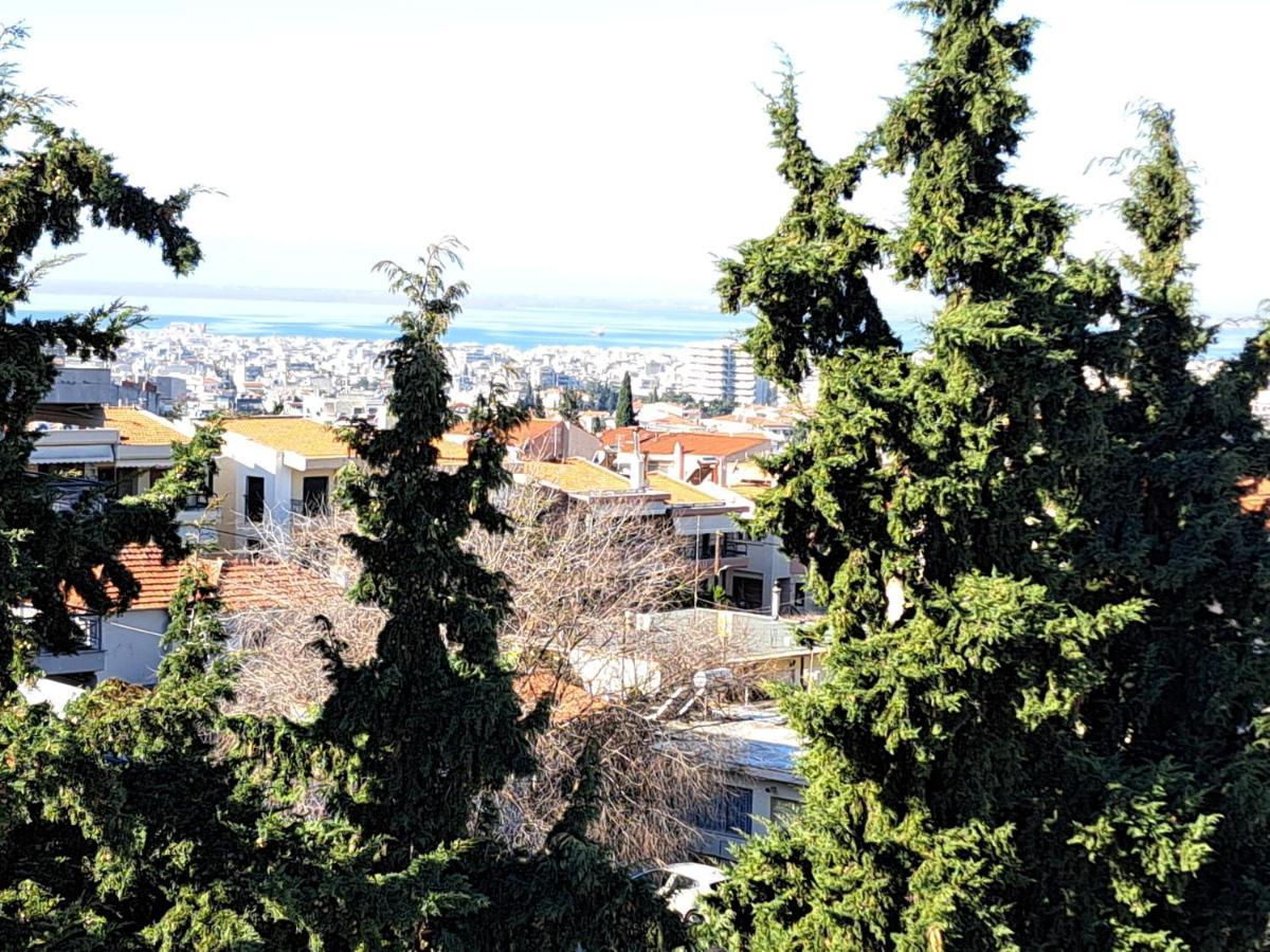 Όμορφο Διαμέρισμα- Σοφίτα Με Υπέροχη Θεα Szaloniki Kültér fotó